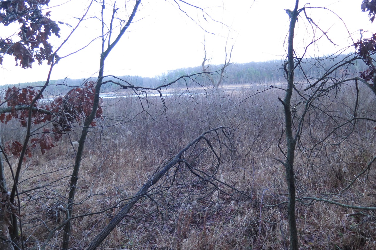 0 E Laketon Property Photo 7