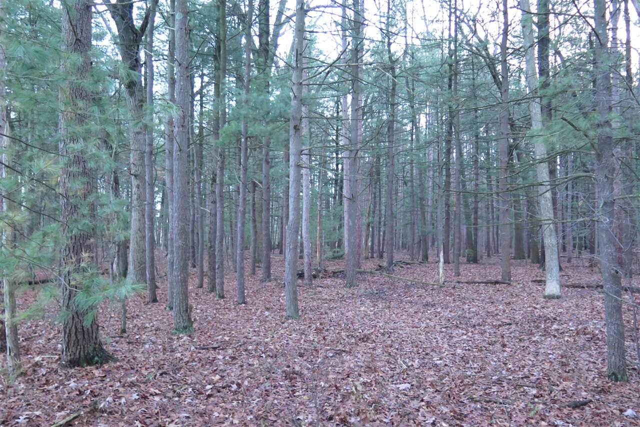 0 E Laketon Property Photo 8