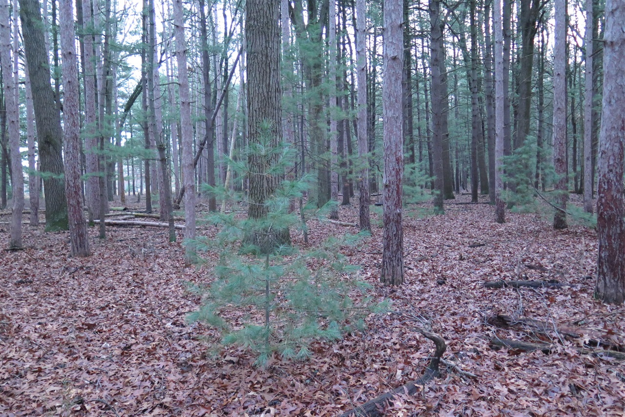 0 E Laketon Property Photo 10