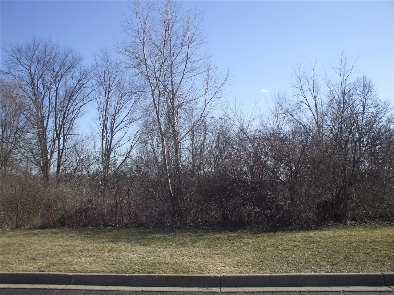 2931 Hunters Hill Property Photo 1