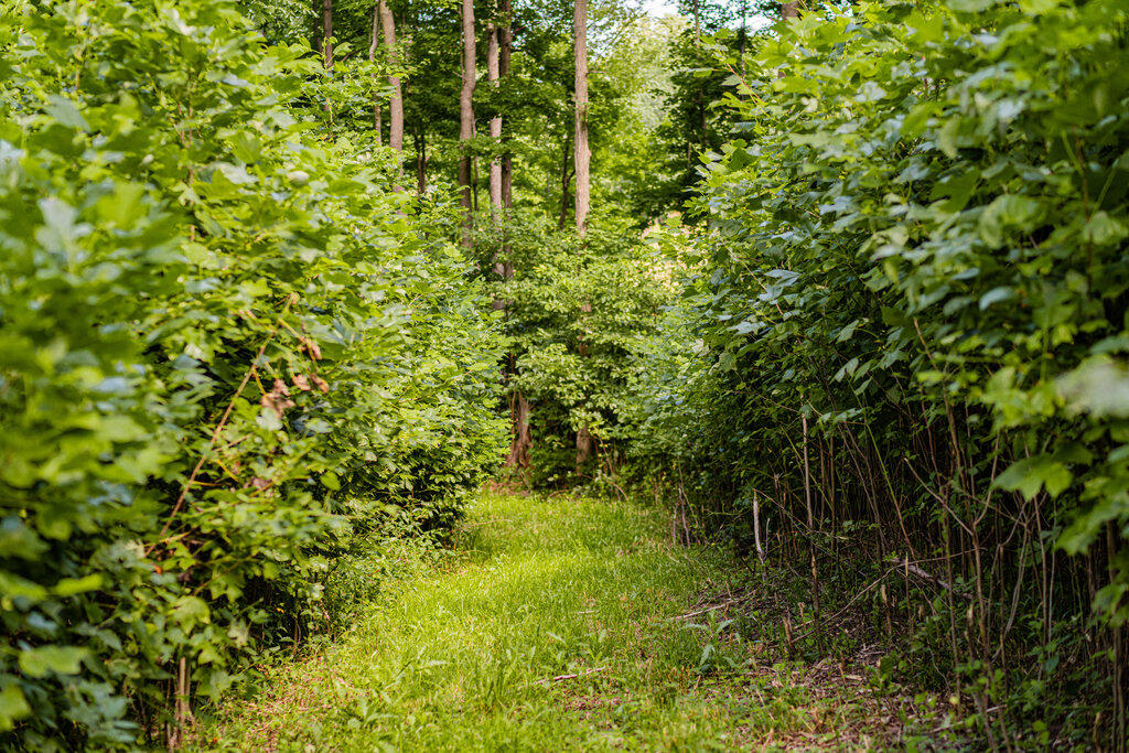 1936 E Clear Lake Road Property Photo 17