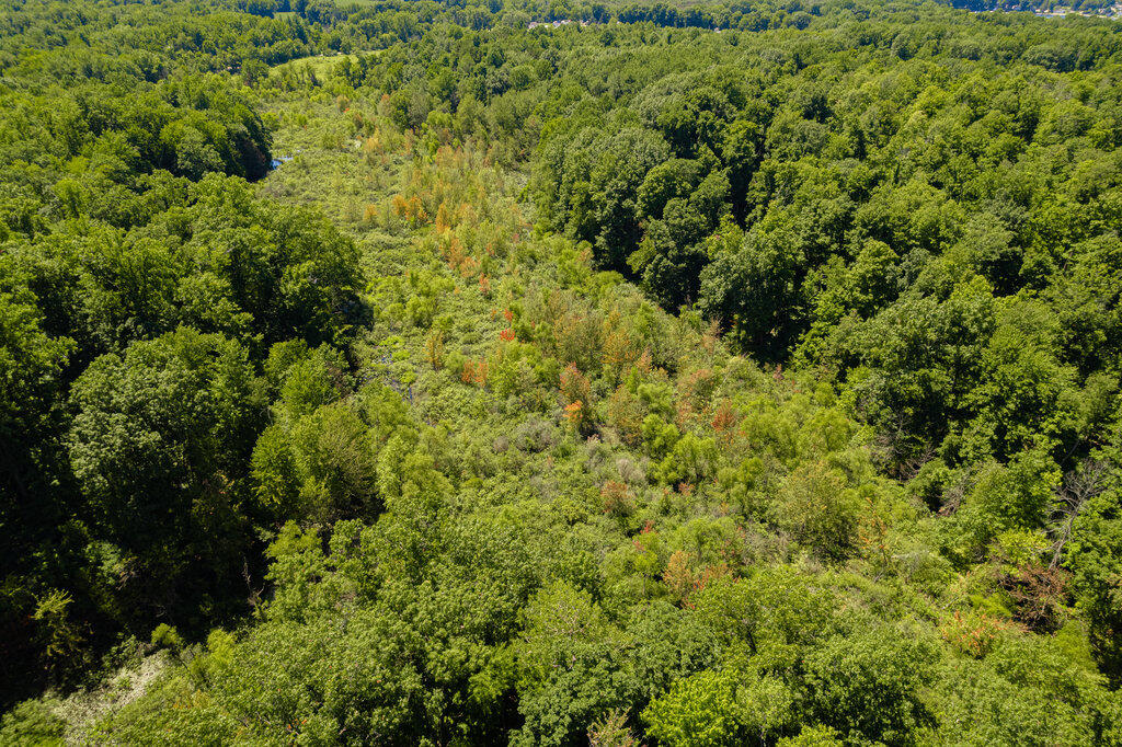 1936 E Clear Lake Road Property Photo 34