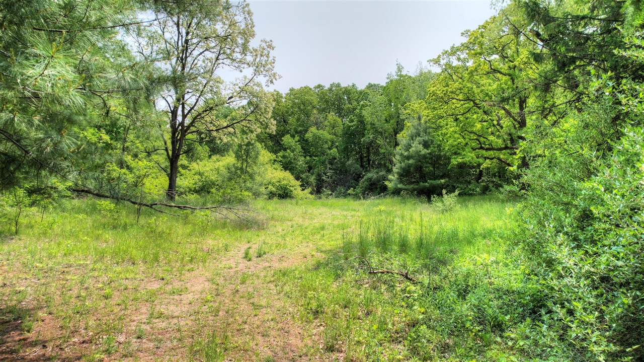 8232 Ramsdell Drive Property Photo