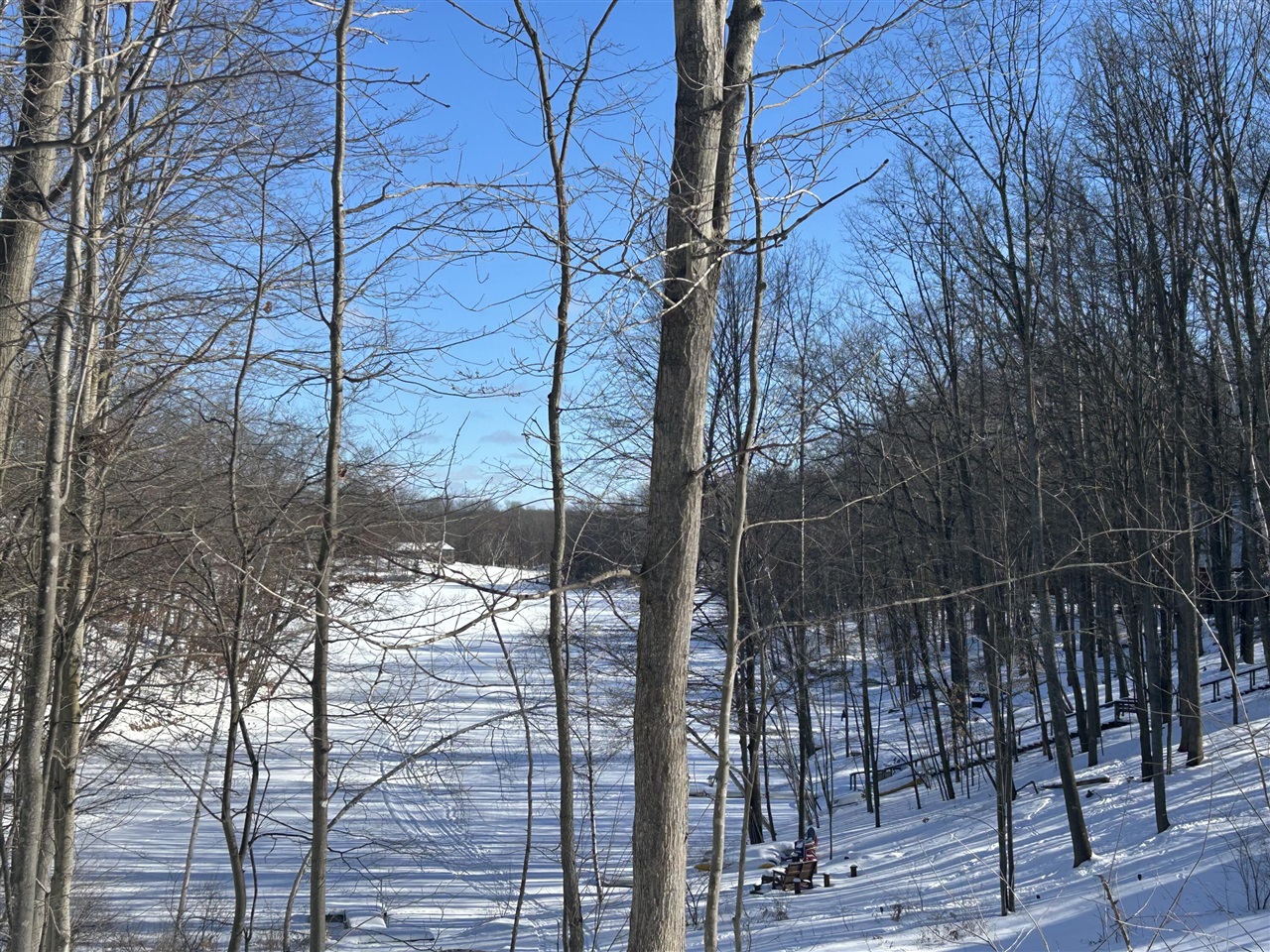 11490 Alpine Road Property Photo 4