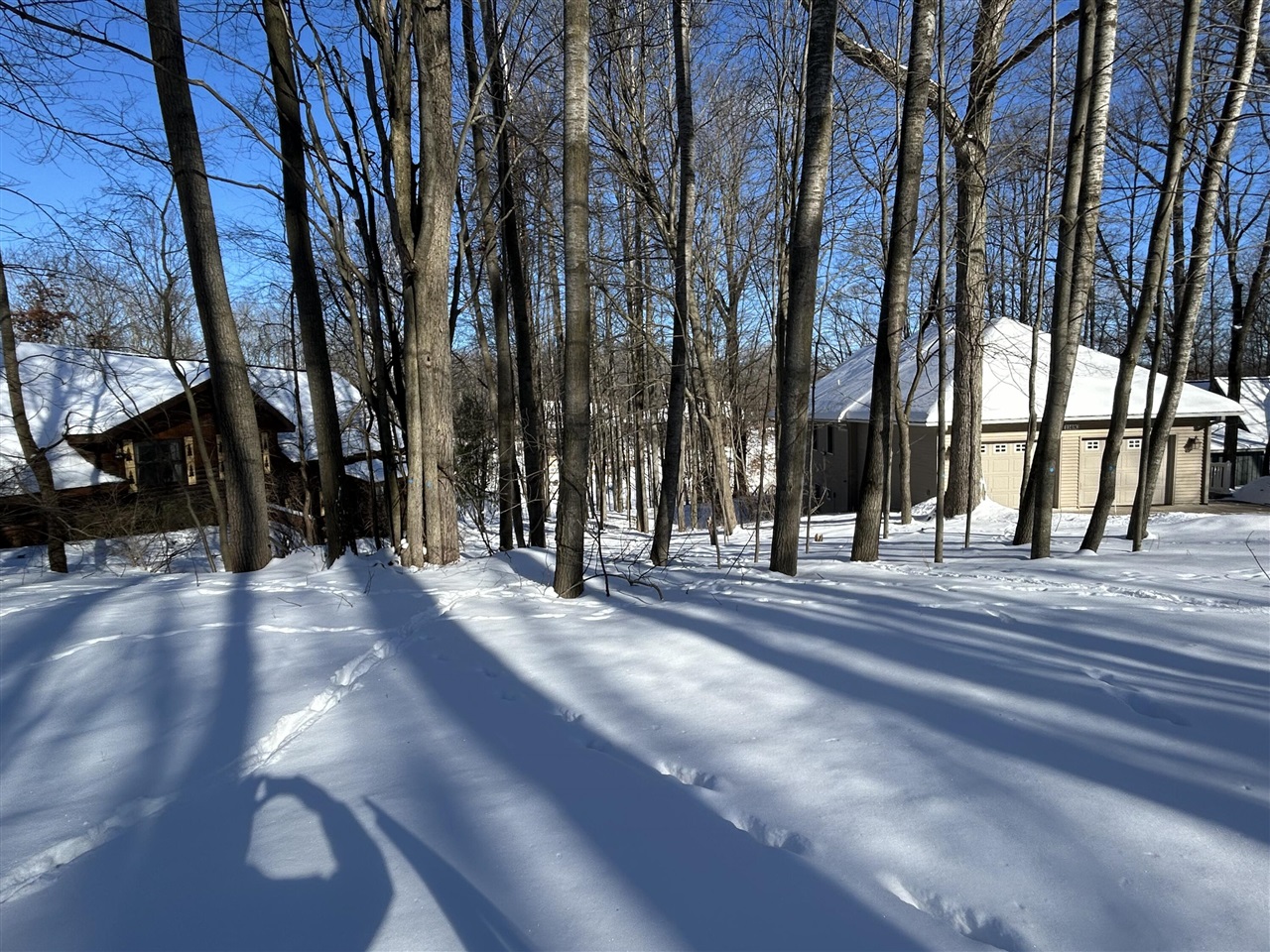 11490 Alpine Road Property Photo 5
