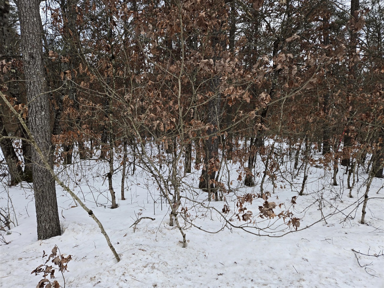 V/l Unity Property Photo 1