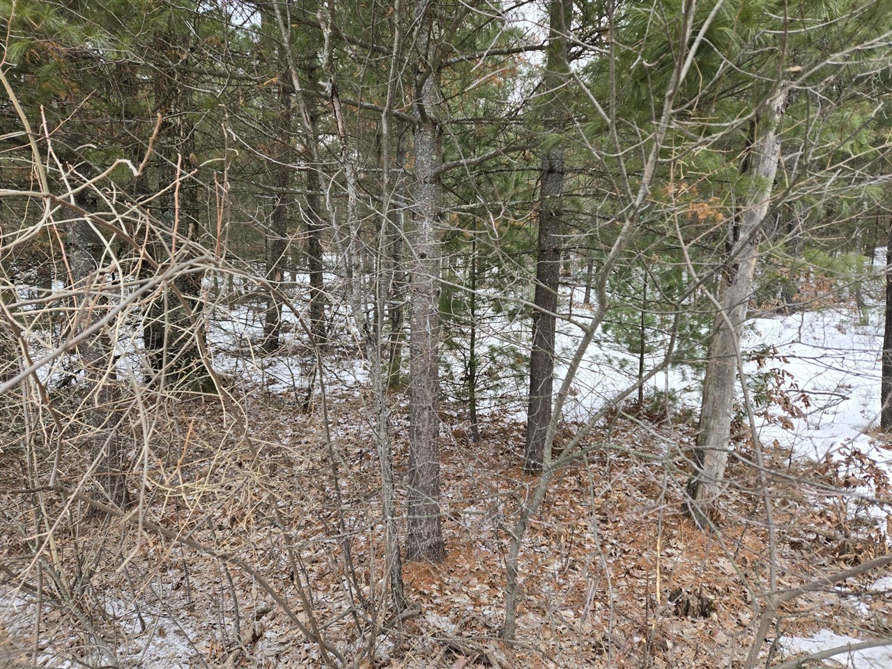 Celestial Drive Property Photo 1