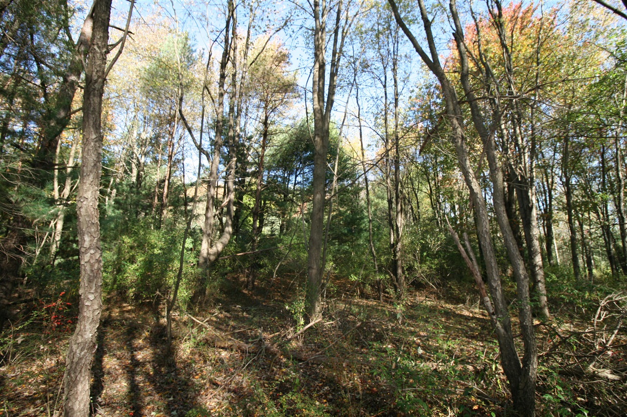 F 70th Street Property Photo 5