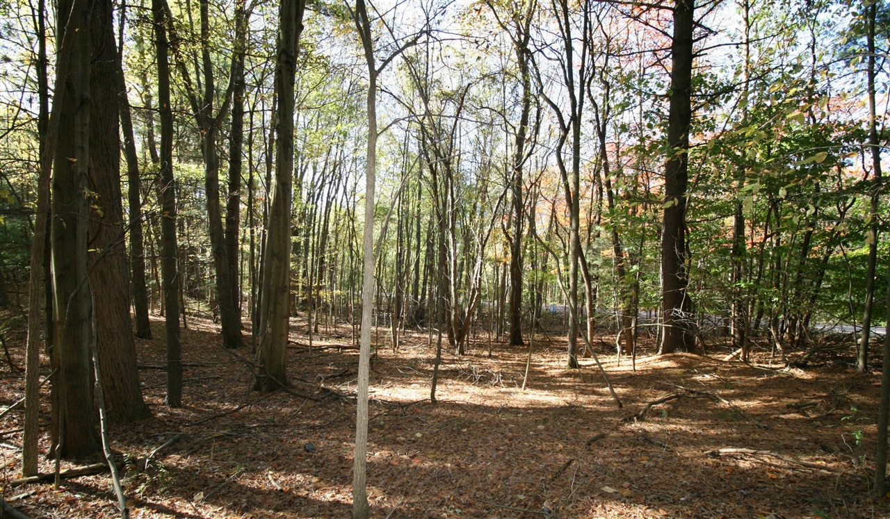 F 70th Street Property Photo 9