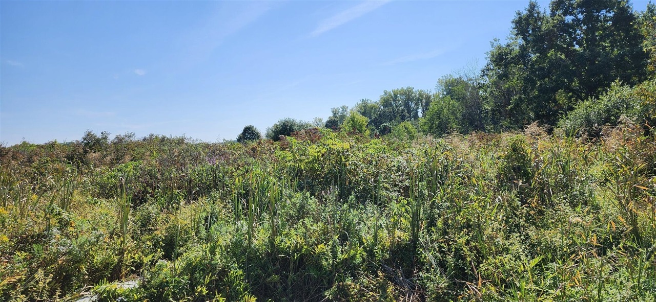00000 N Shore Drive Property Photo 3