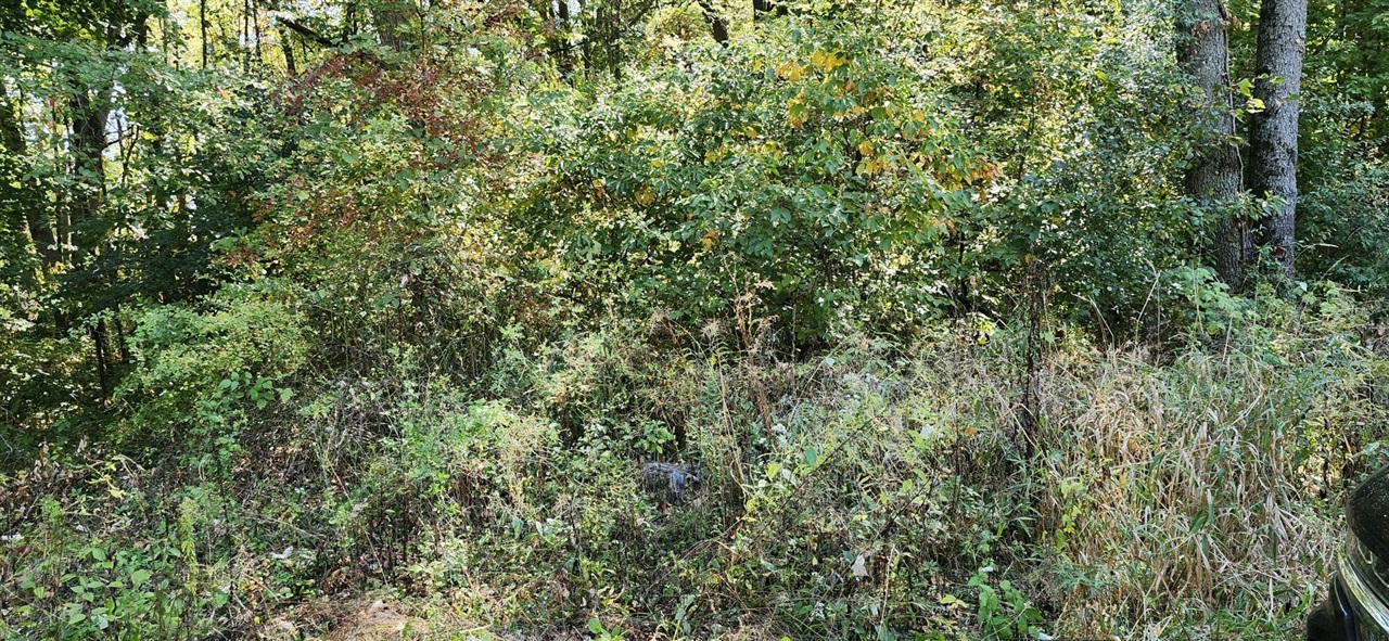 00000 N Shore Drive Property Photo 4
