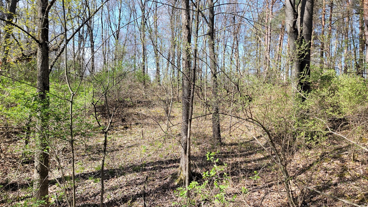 2180 Harwood Road Property Photo 12