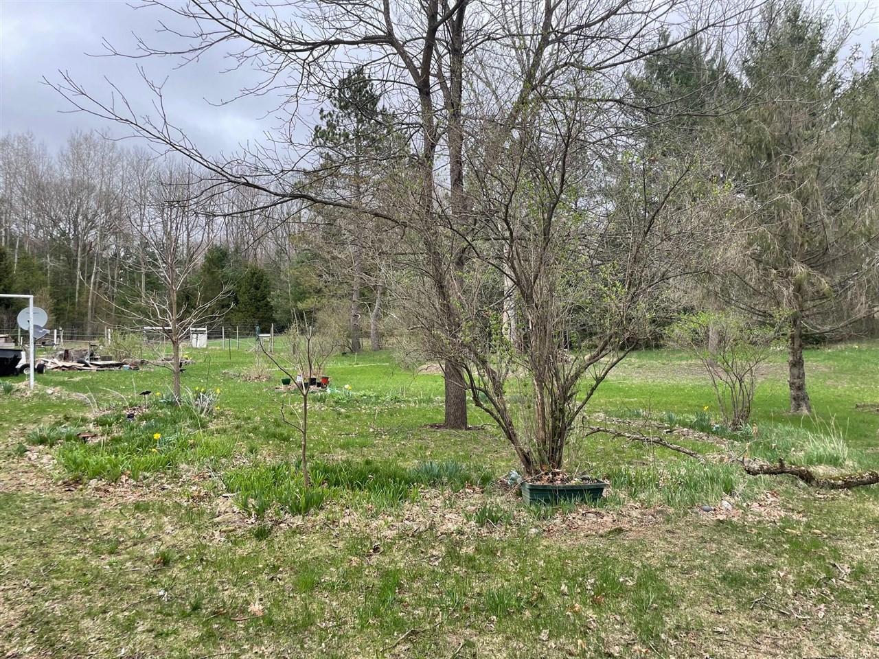 16206 Peters Farm Road Property Photo 15
