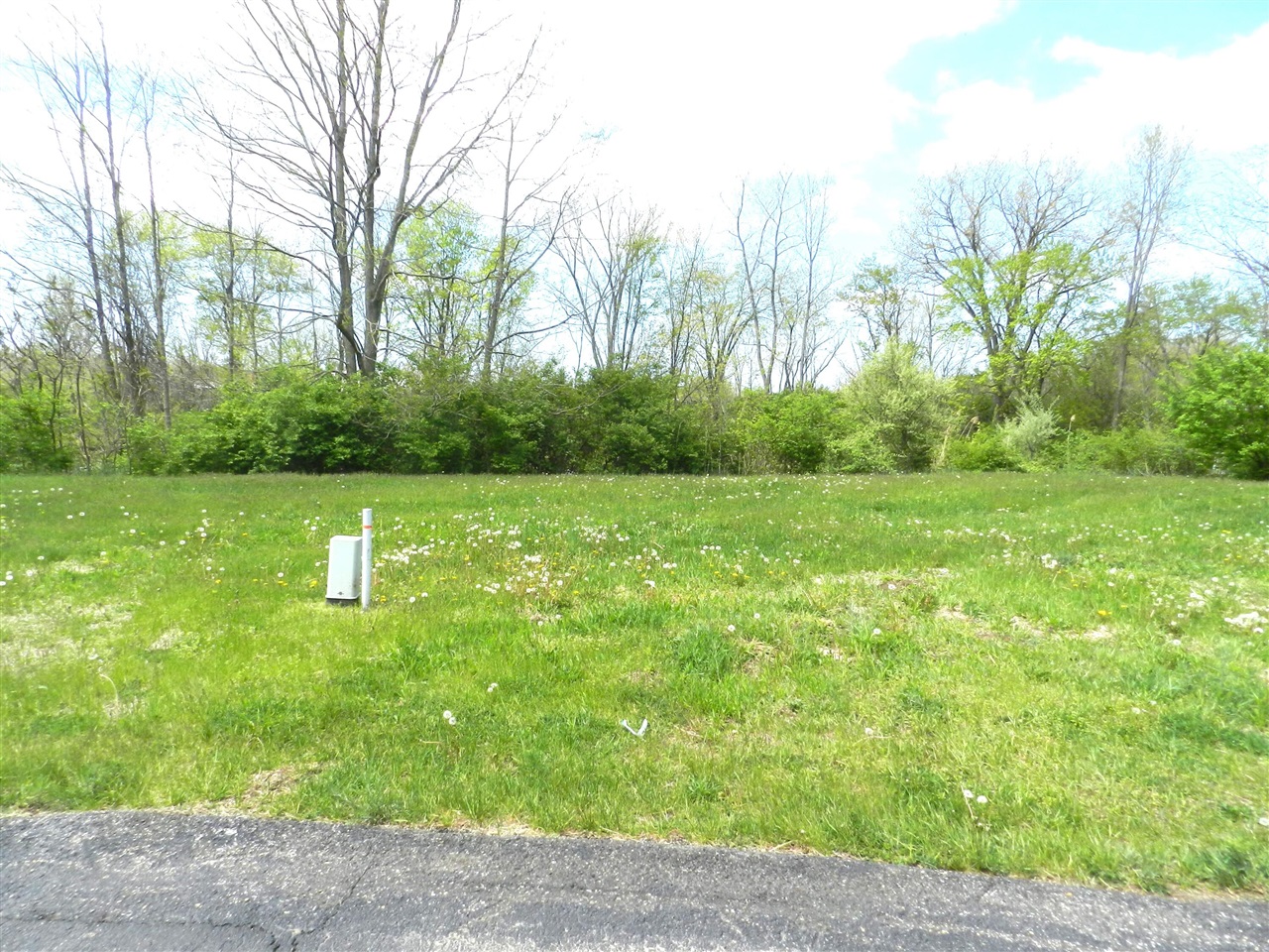 519 Swan River Drive Property Photo 6