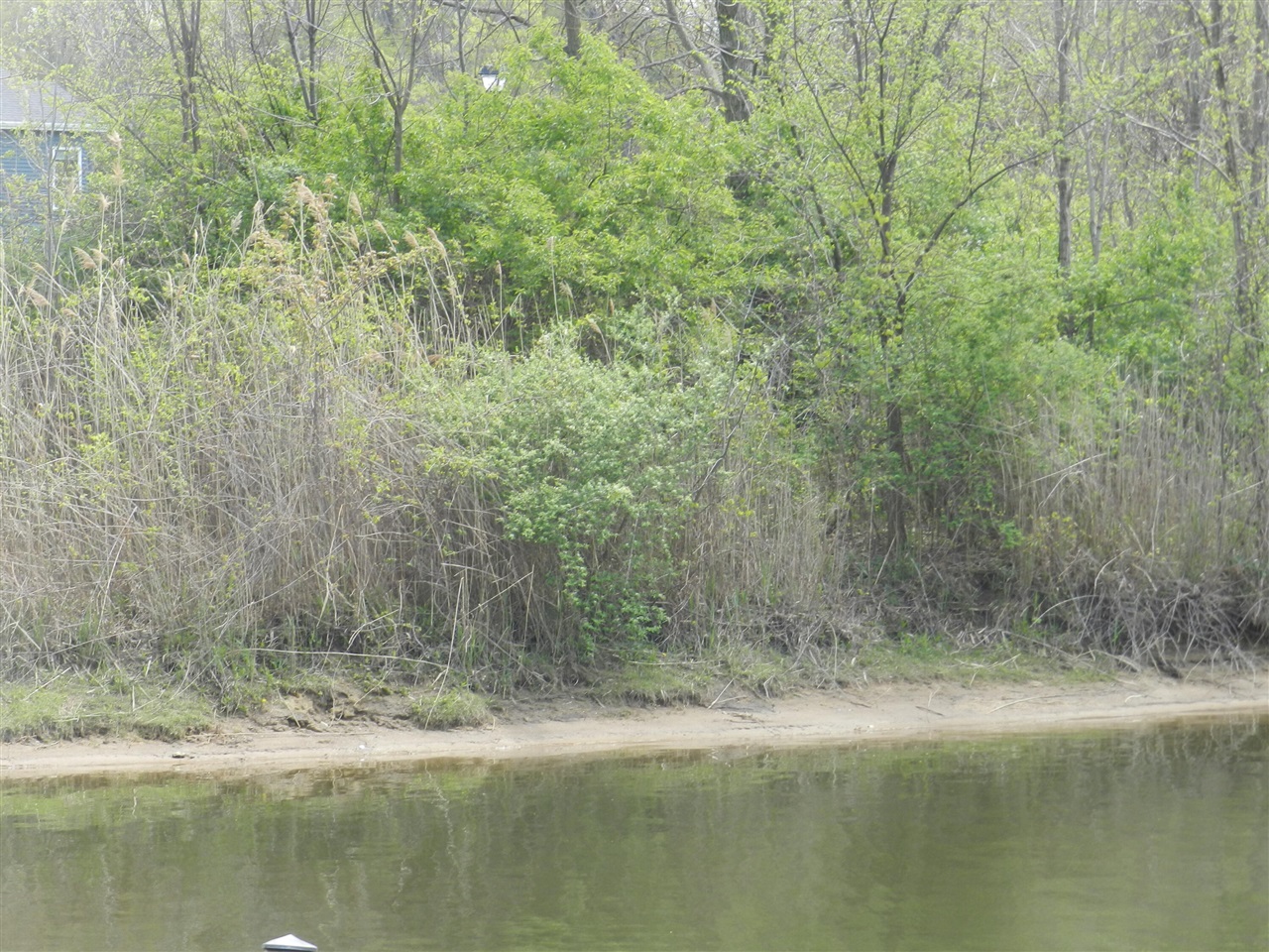 519 Swan River Drive Property Photo 17