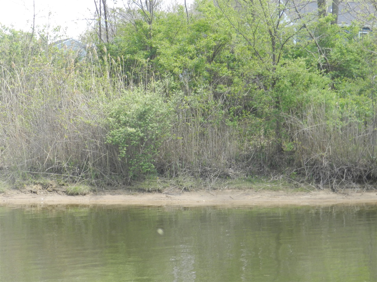 519 Swan River Drive Property Photo 19