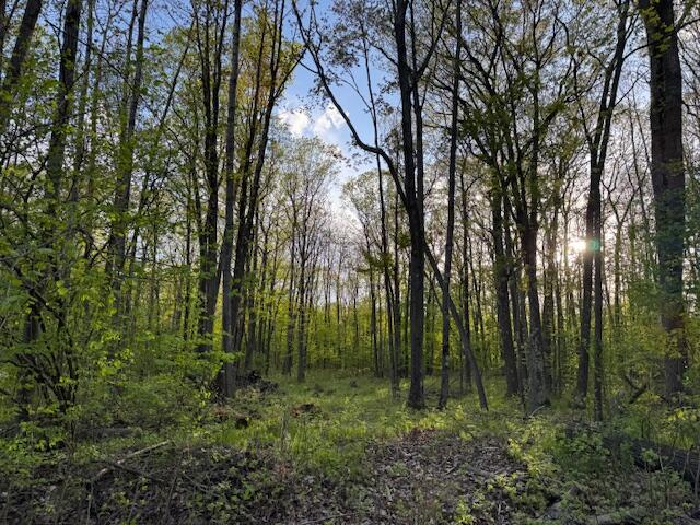 V/l Lot 187 Alps Drive Property Photo