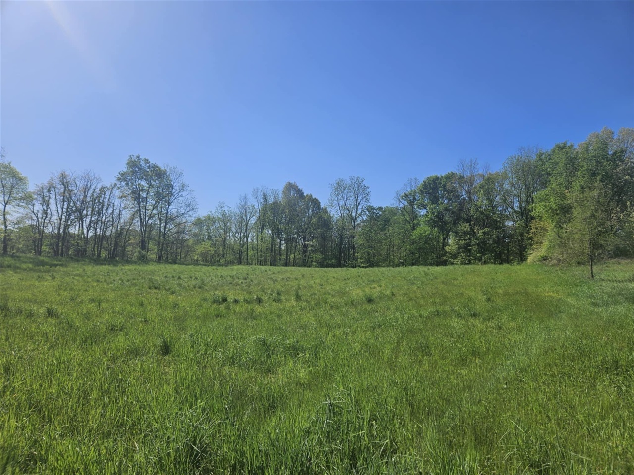 Jones Road Property Photo