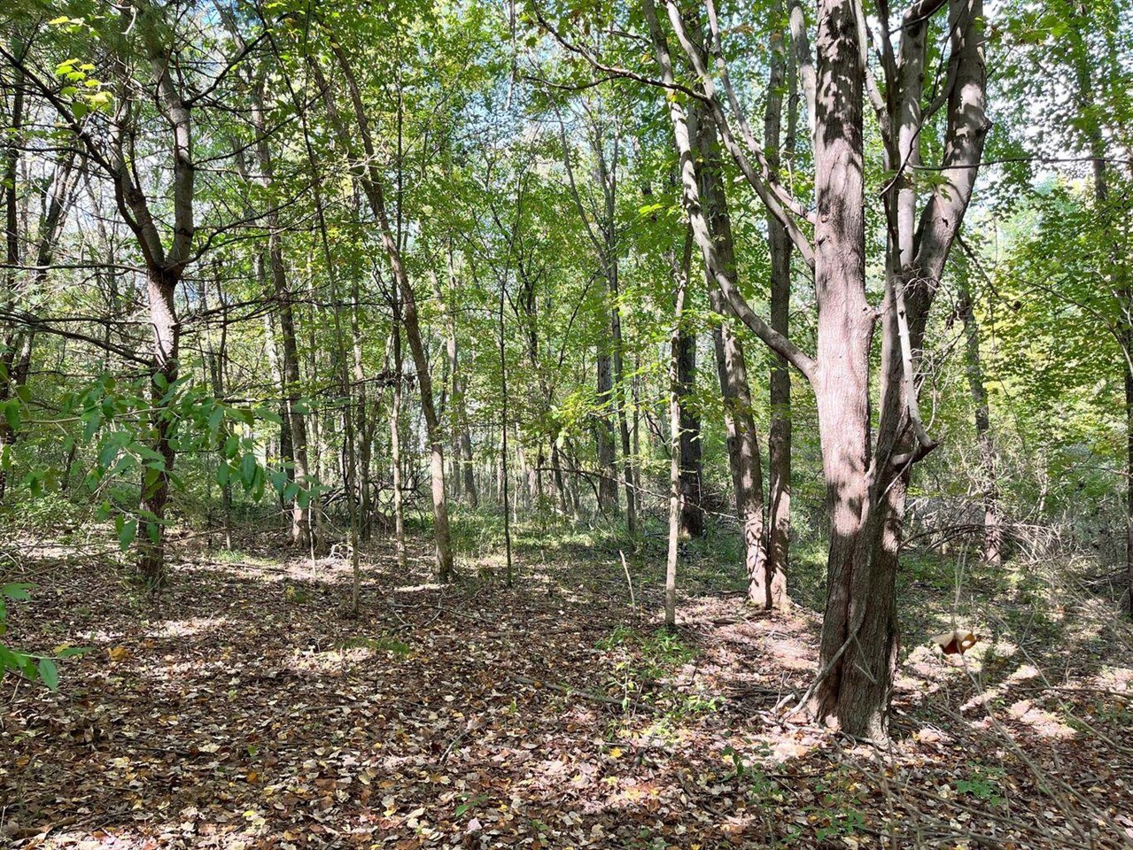 7500 Conservation Property Photo