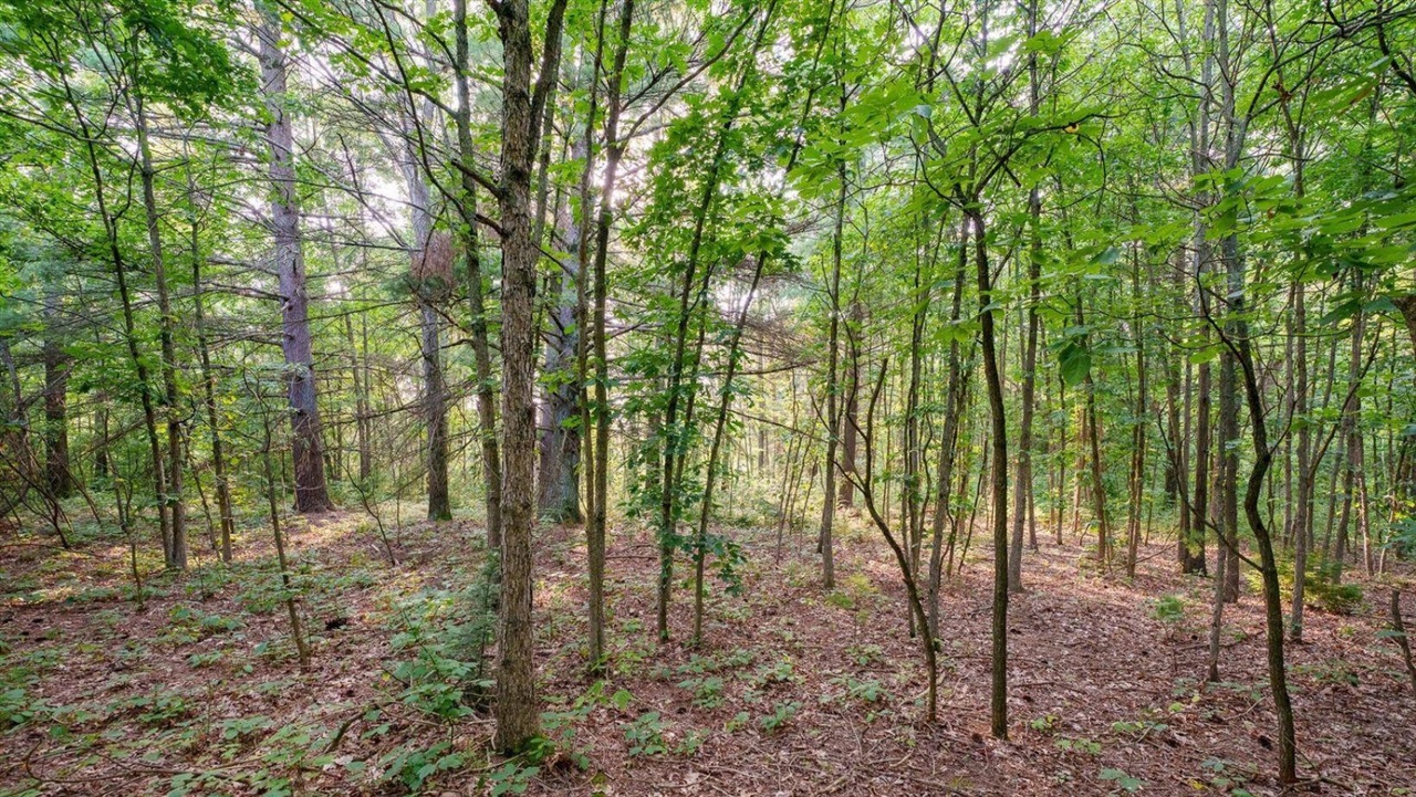0 158th Avenue Property Photo 1