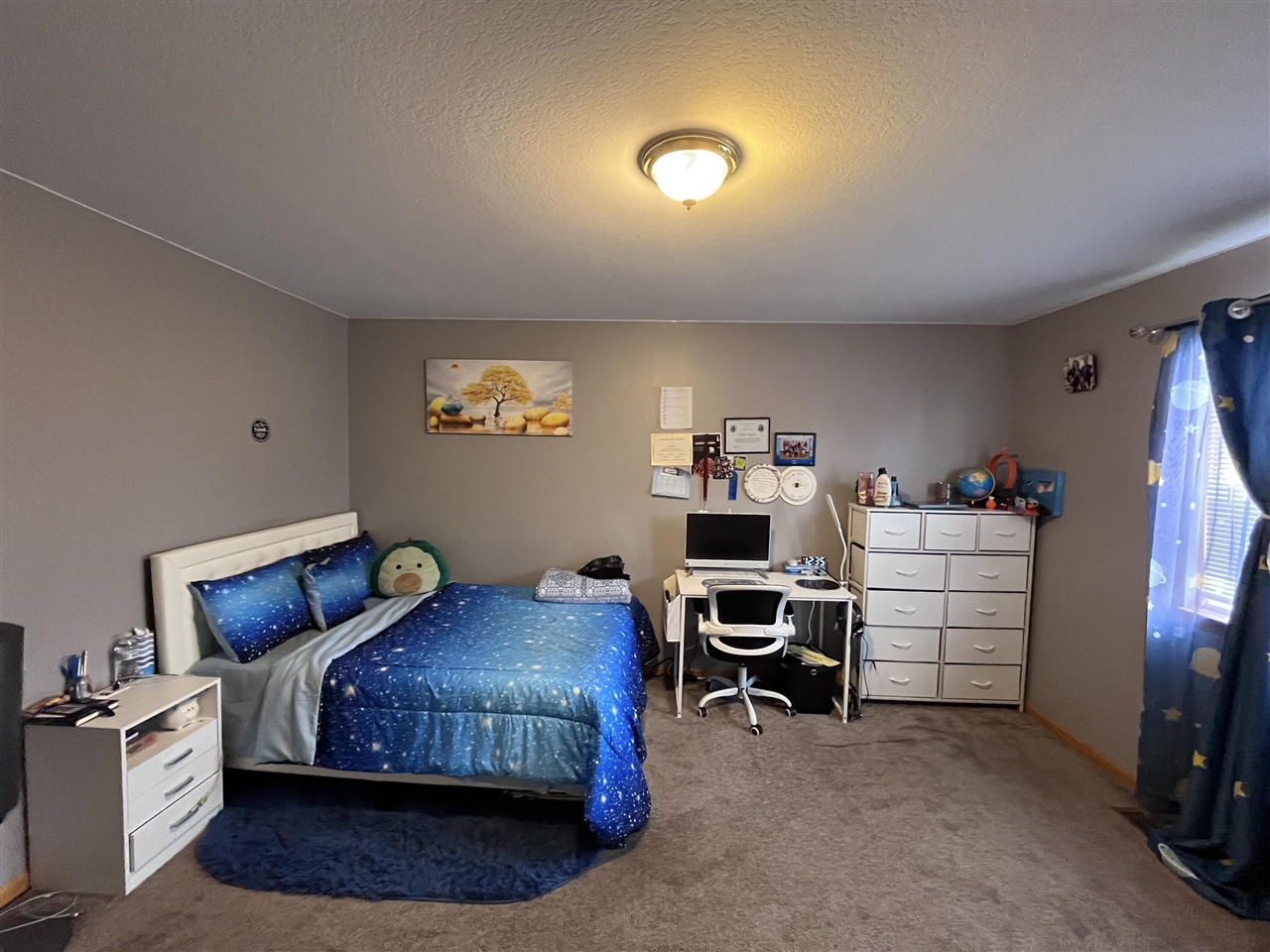 1637 Chippewa Way Property Photo 14