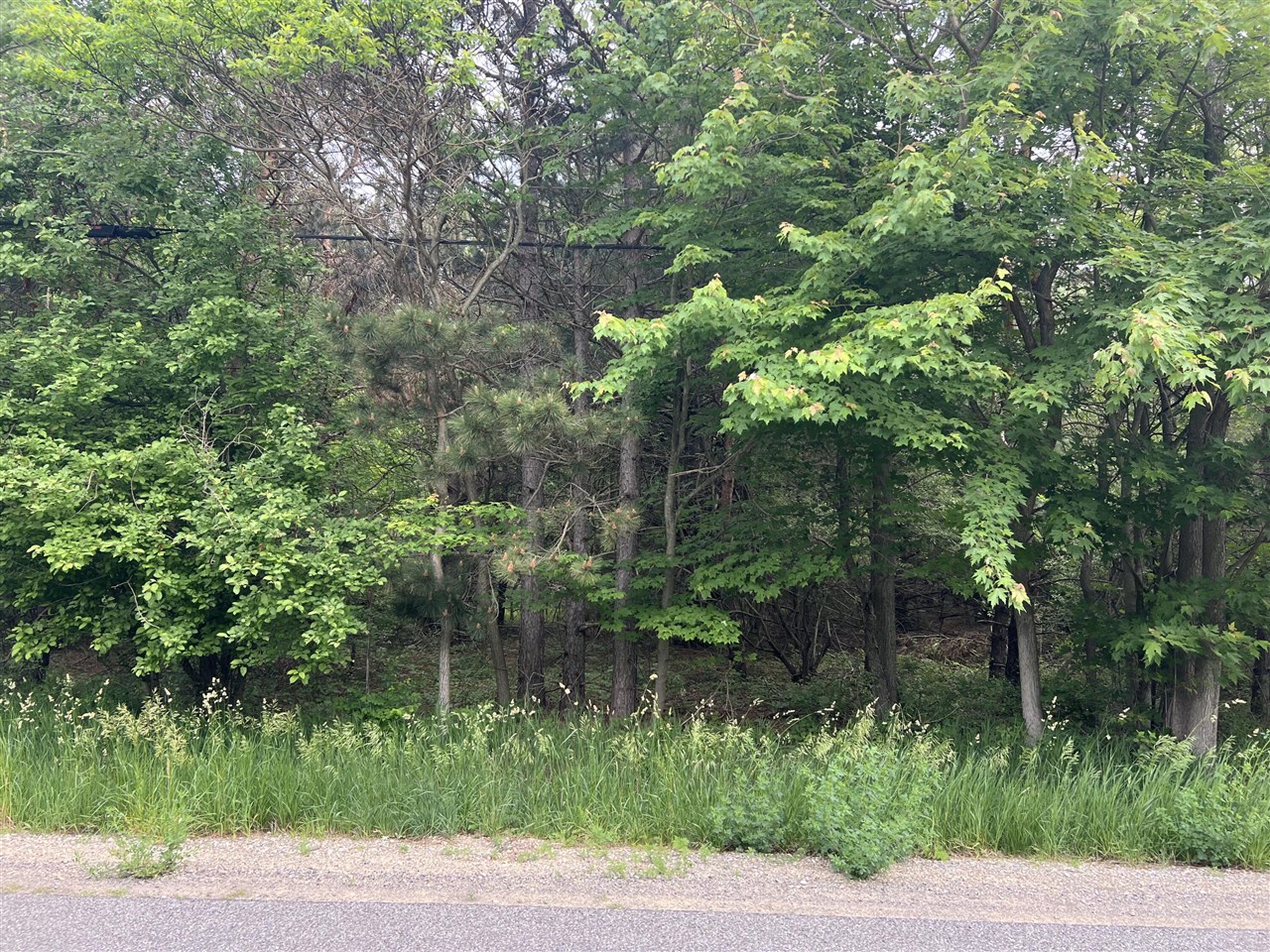 Vl W Bard Road Road Property Photo