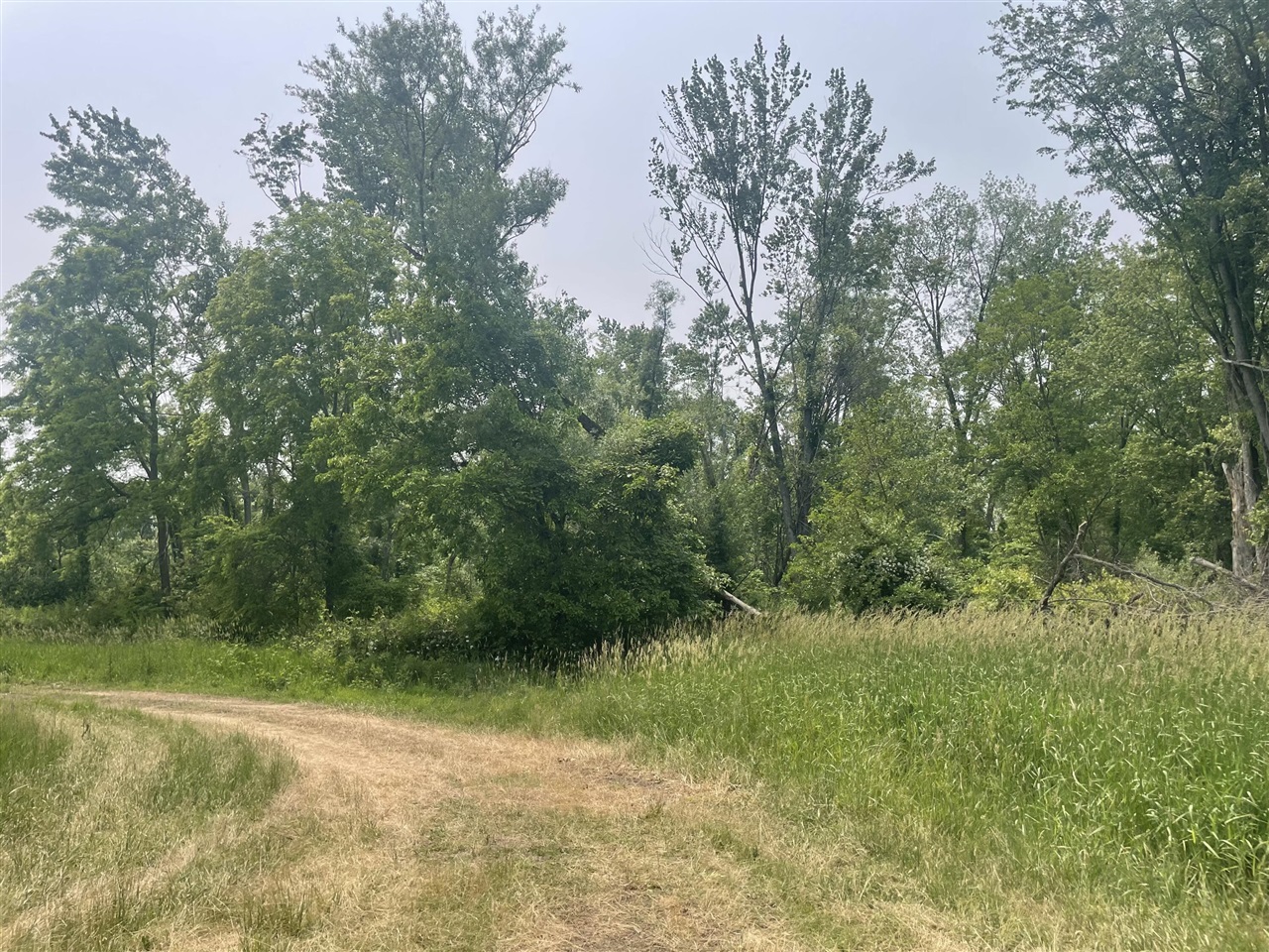 Dunks Road Property Photo 5