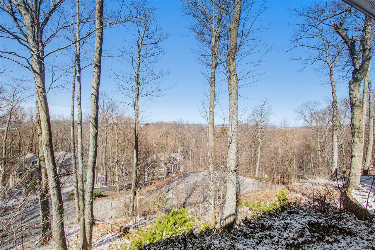 4679 Forest Ridge Drive Property Photo 55