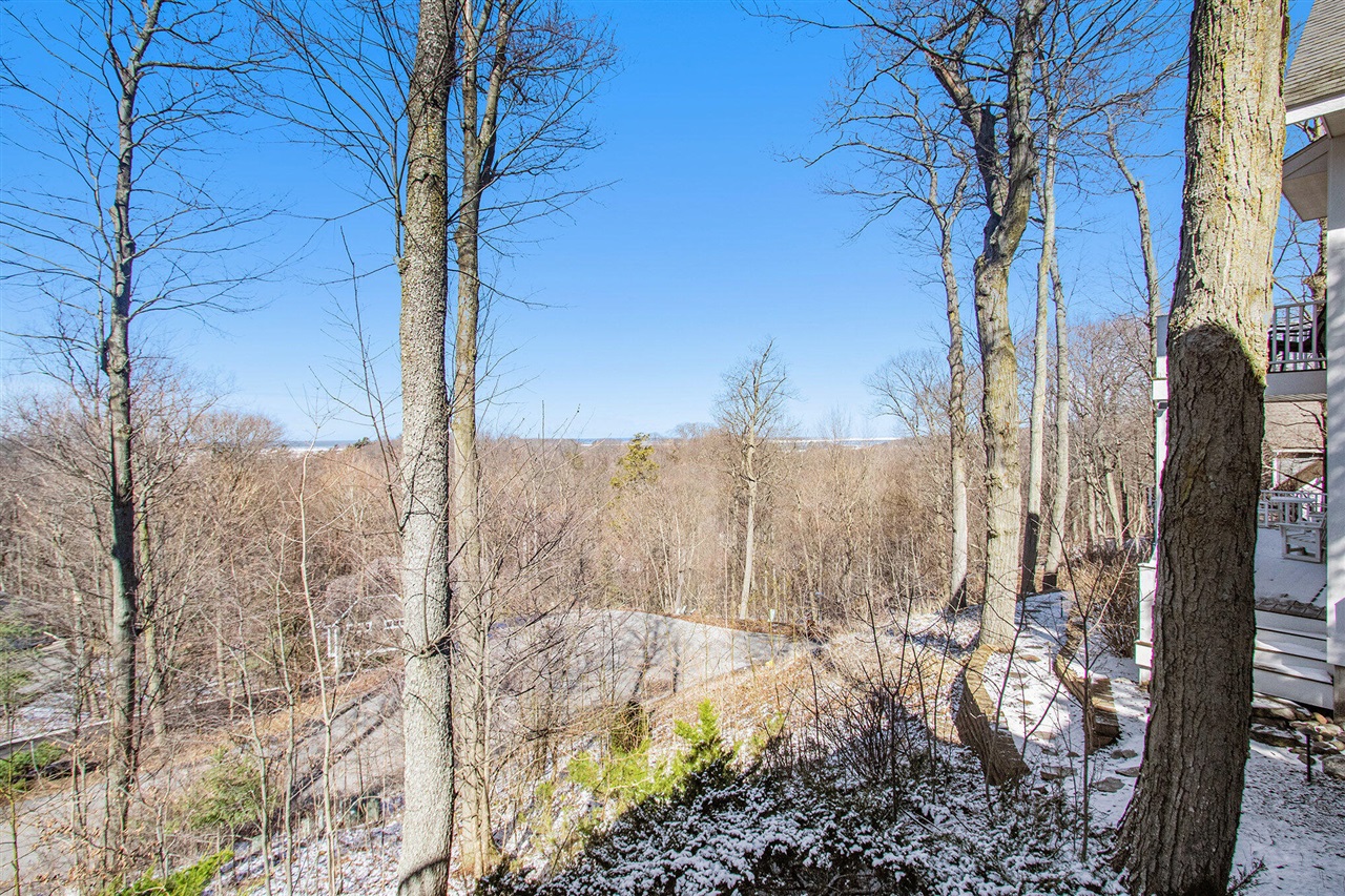 4679 Forest Ridge Drive Property Photo 56
