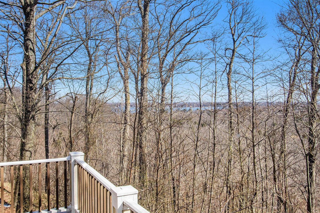 4679 Forest Ridge Drive Property Photo 59