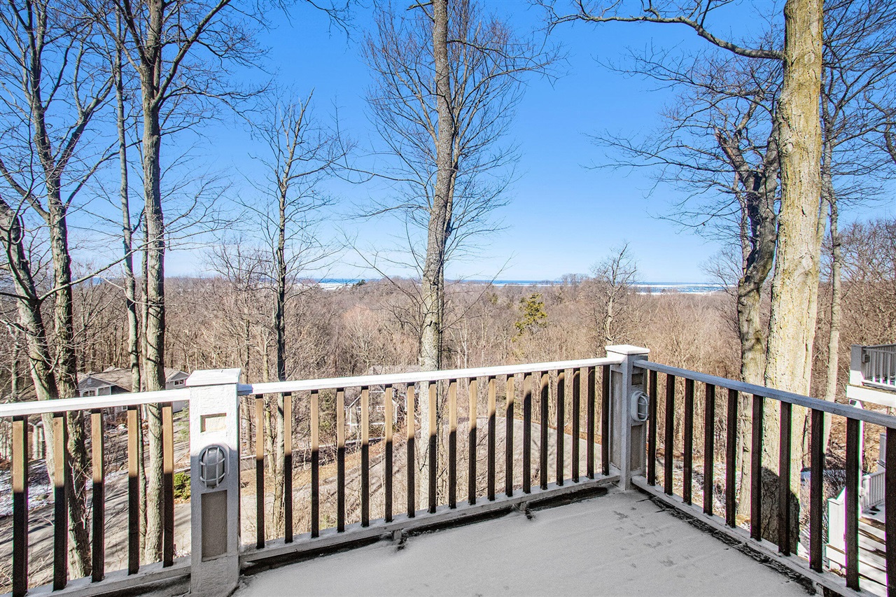 4679 Forest Ridge Drive Property Photo 60
