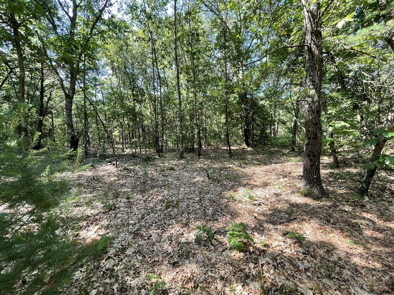Ewing Road Property Photo 6