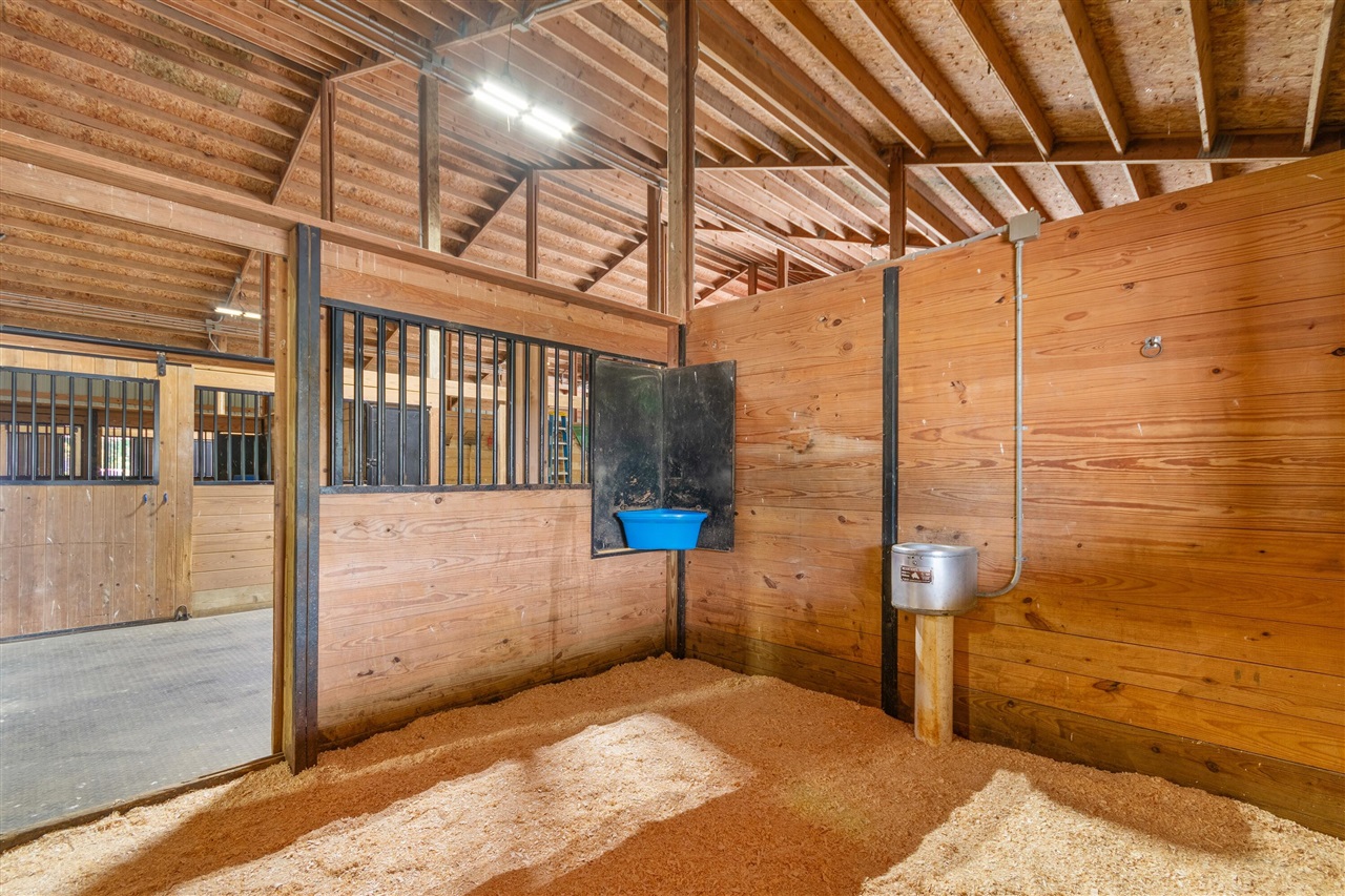 14091 Scio Church Road Property Photo 49