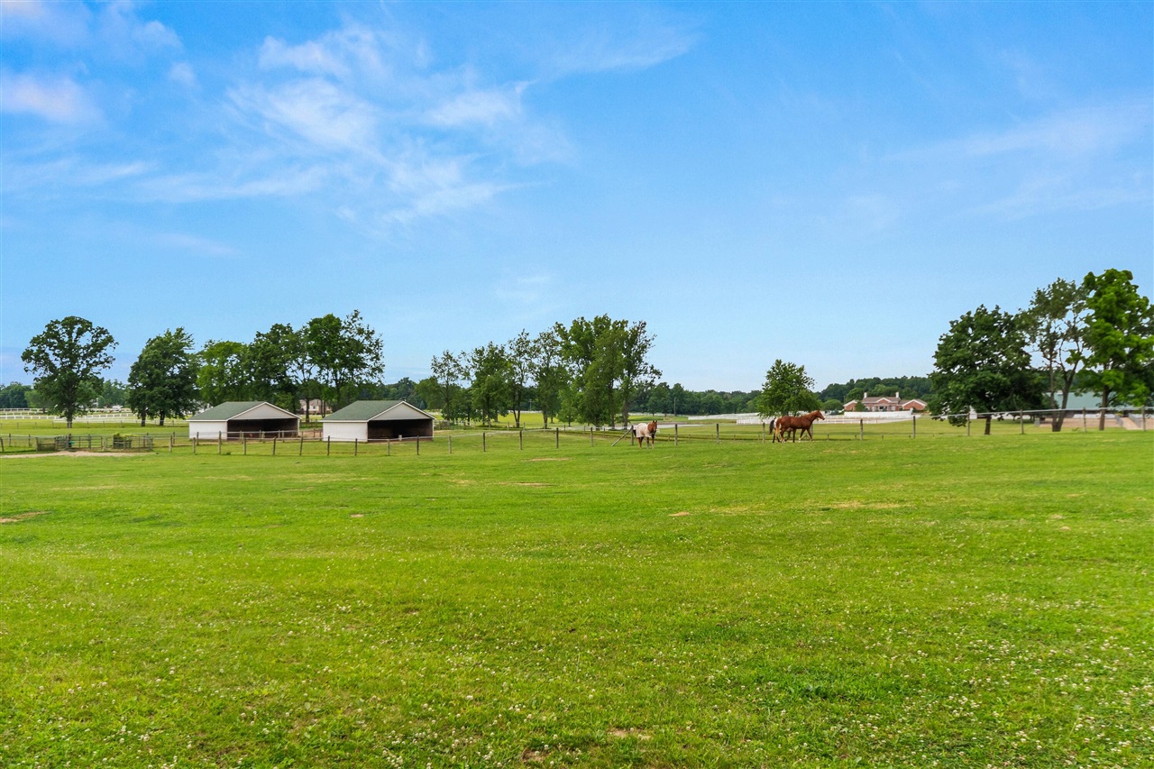 14091 Scio Church Road Property Photo 68