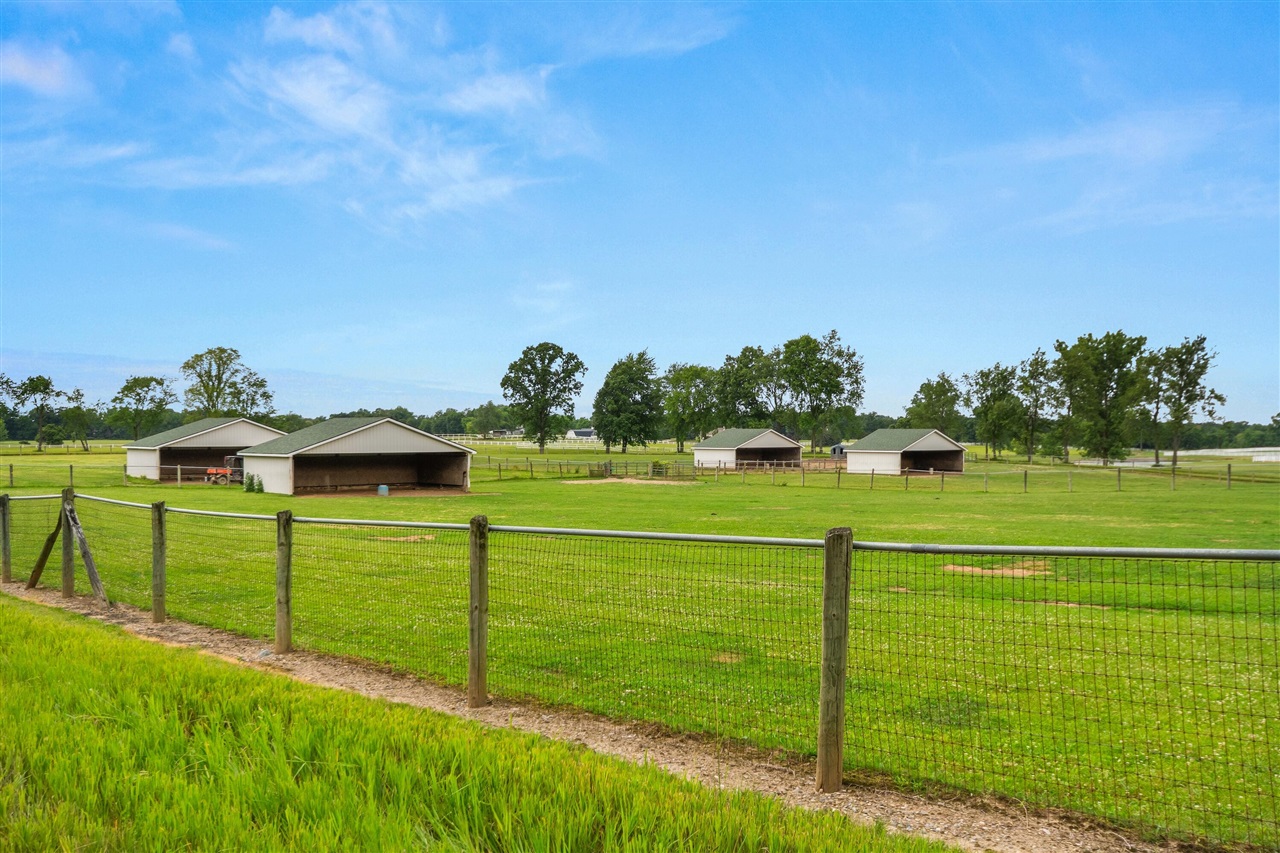 14091 Scio Church Road Property Photo 69