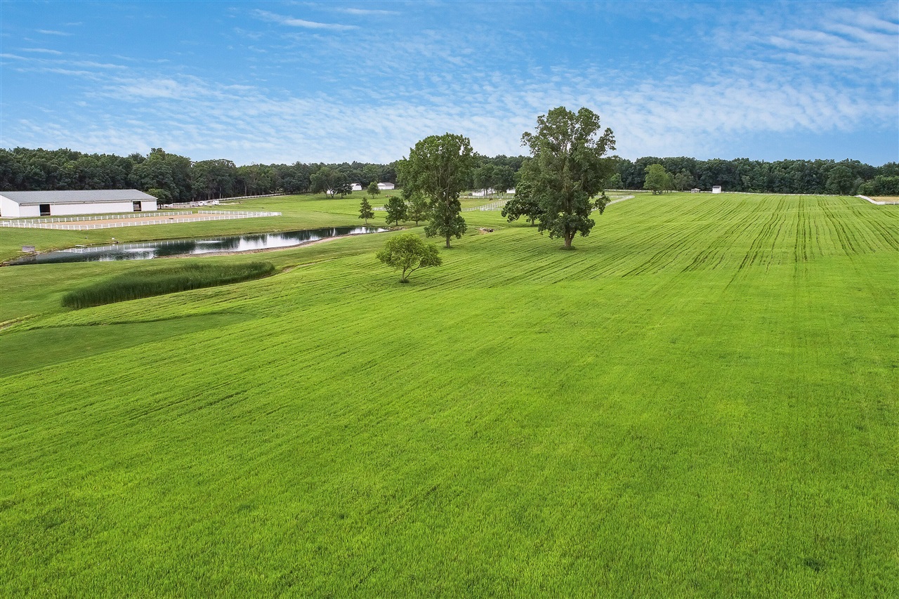 14091 Scio Church Road Property Photo 72