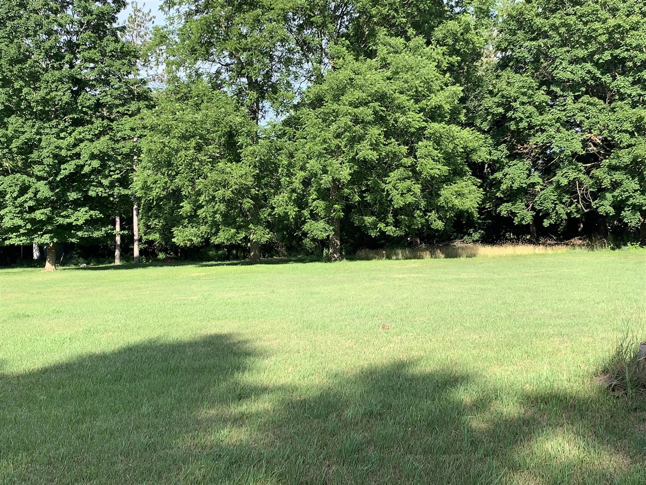 Lizzie Avenue Property Photo 1