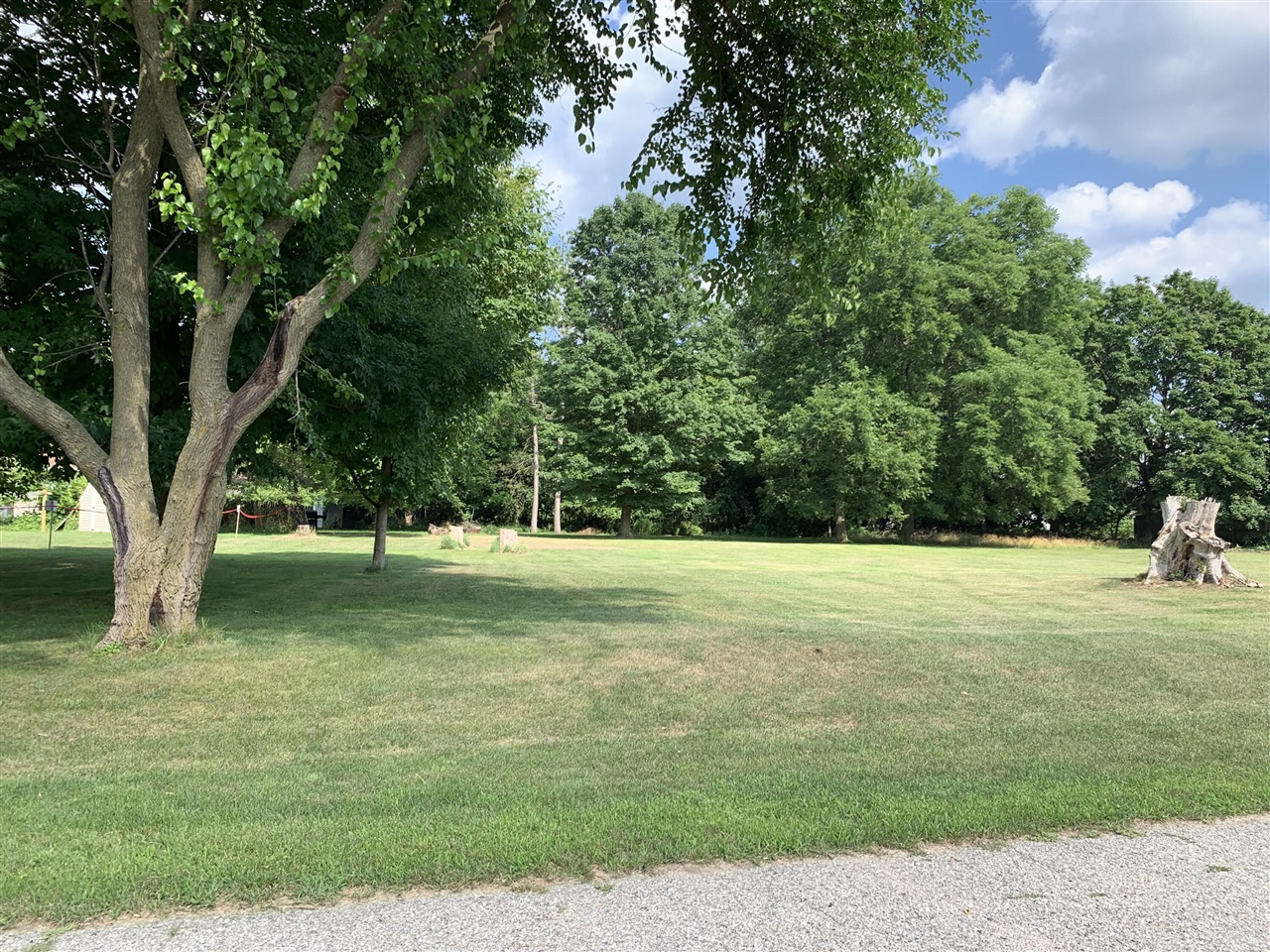 Lizzie Avenue Property Photo 3