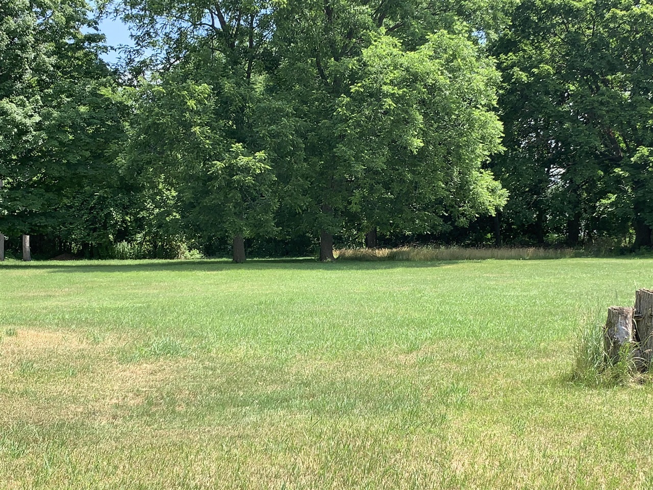 Lizzie Avenue Property Photo 4