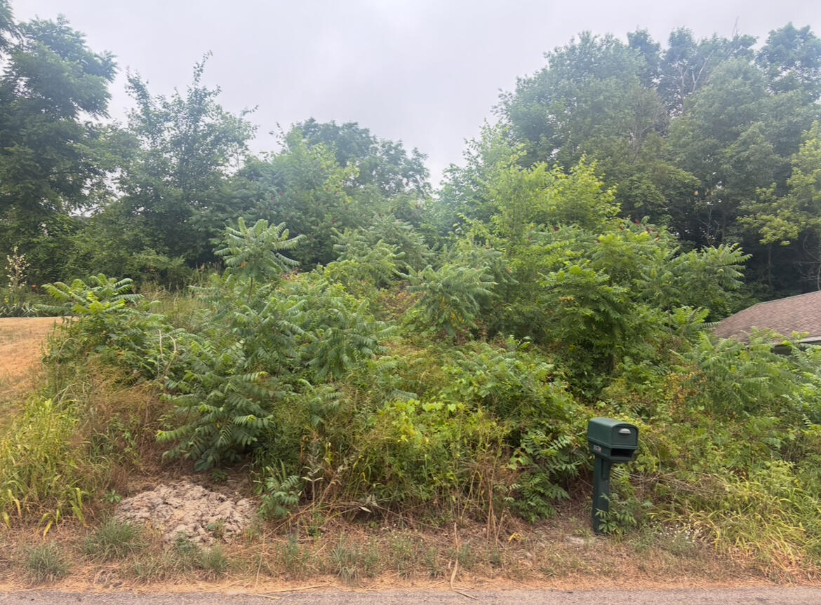 11717 Maywood Drive Property Photo 3
