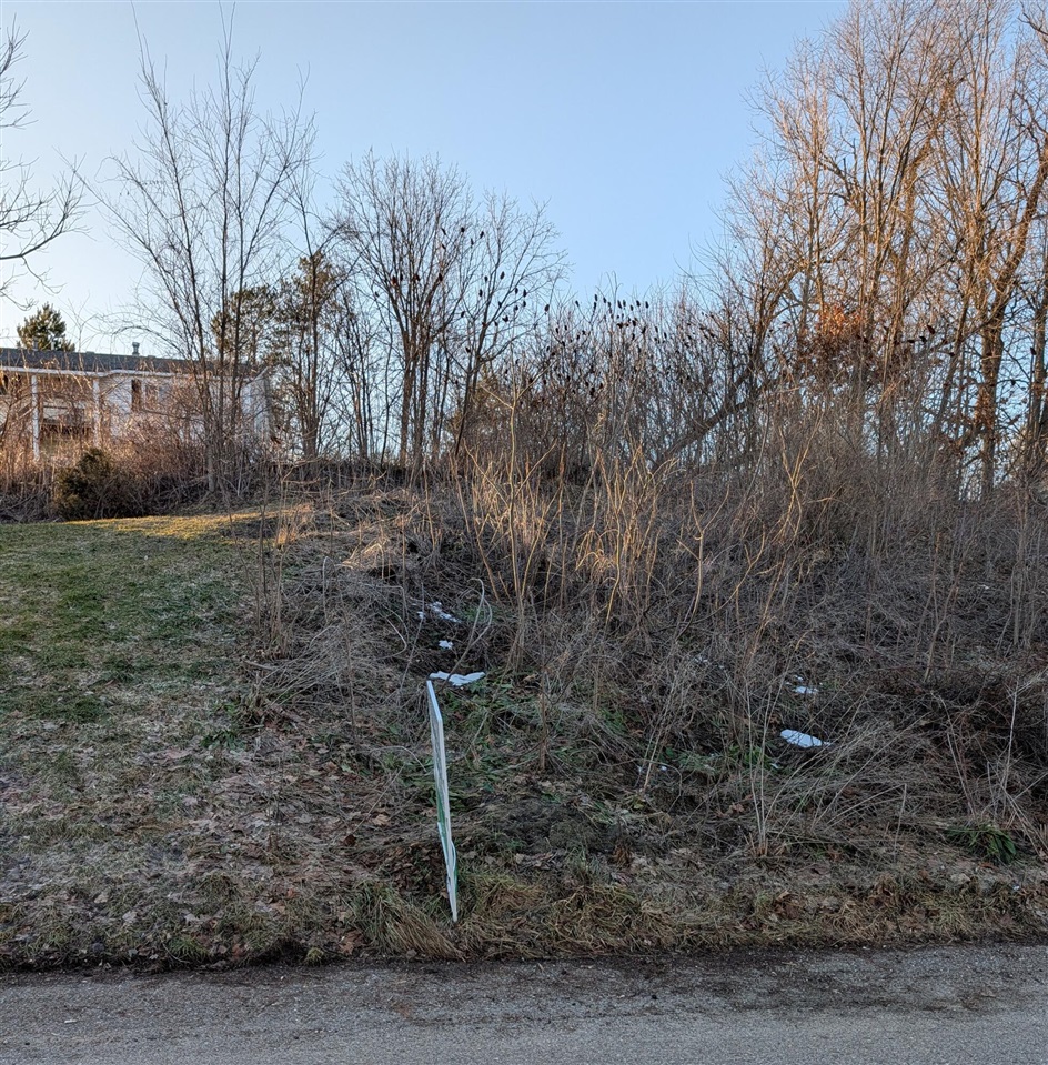11717 Maywood Drive Property Photo 9