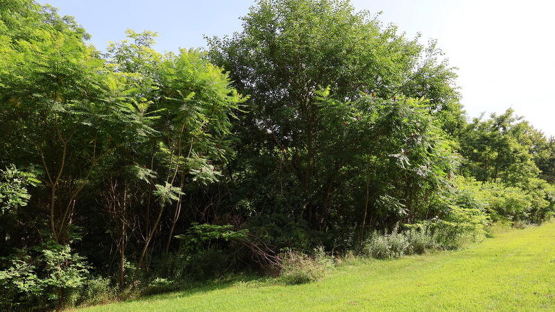 30879 M-60 Property Photo 2