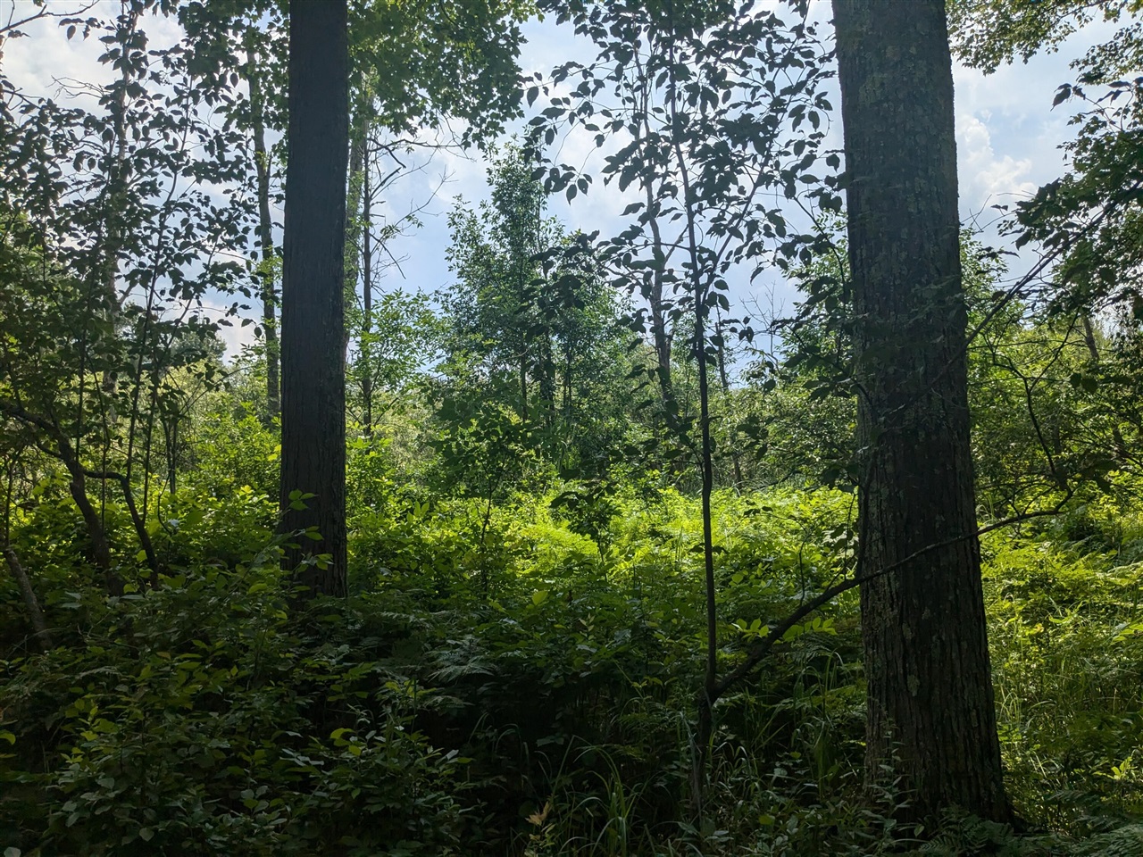 V/l Caberfae Highway Property Photo 5