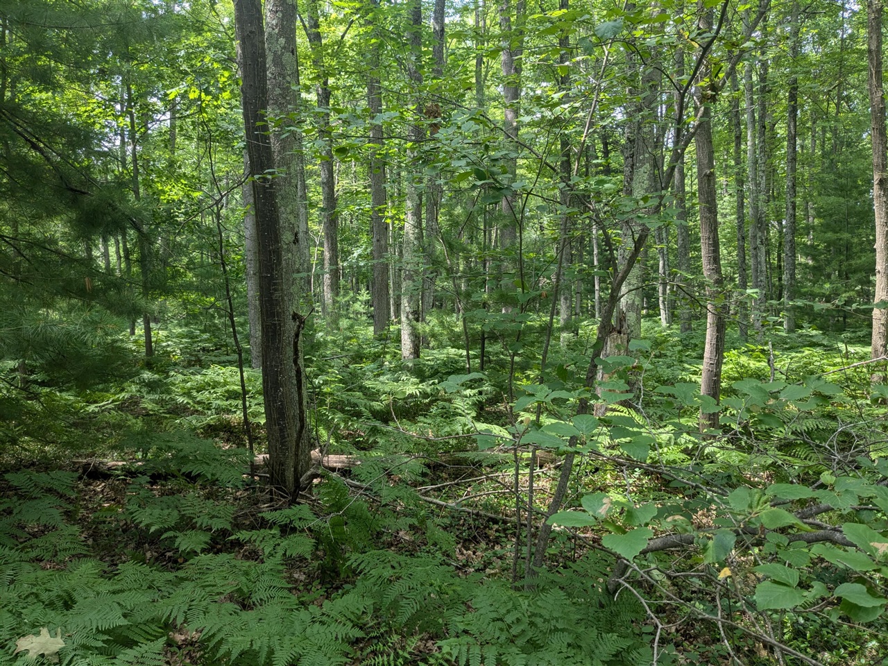 V/l Caberfae Highway Property Photo 6