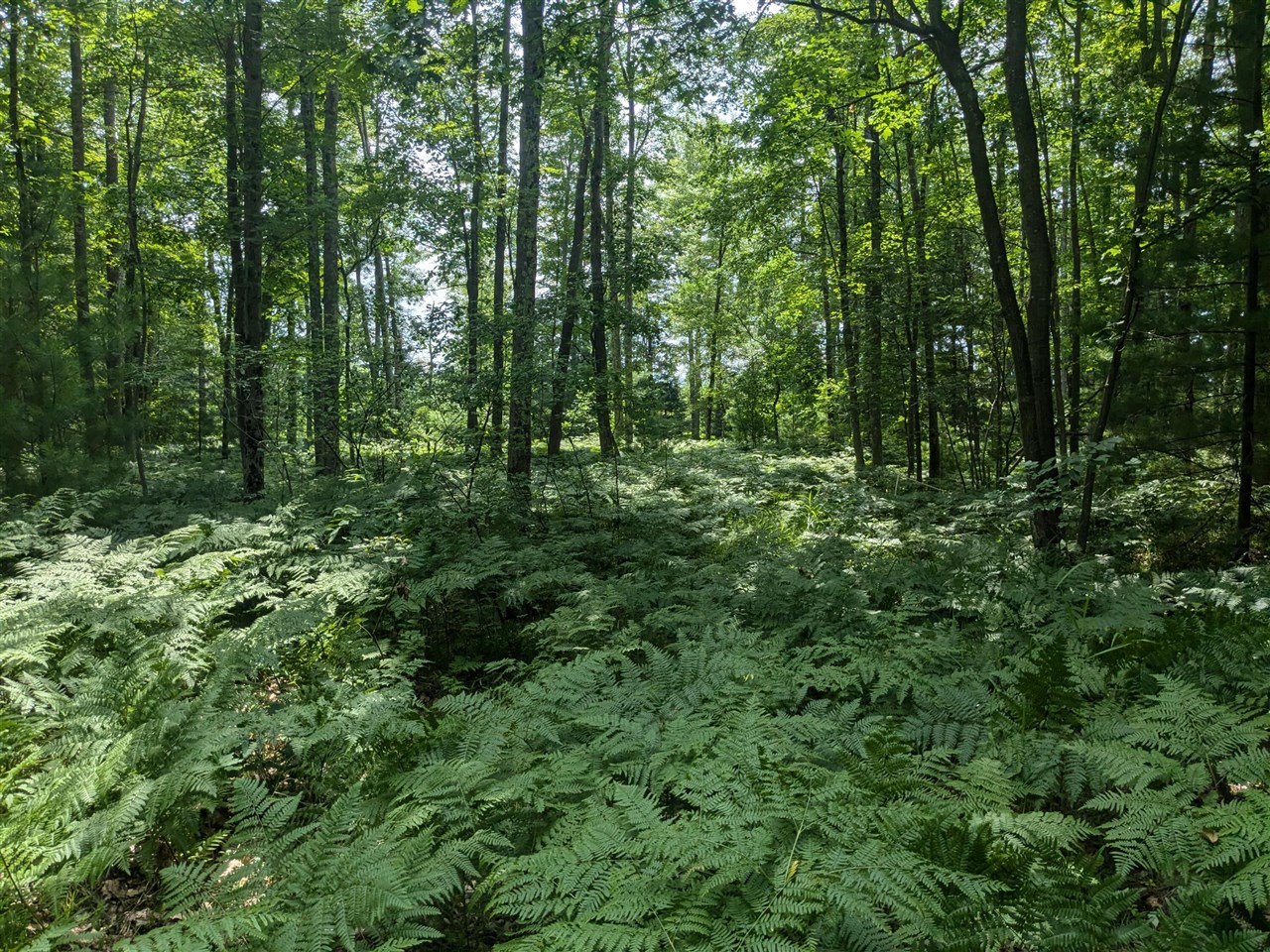 V/l Caberfae Highway Property Photo 8