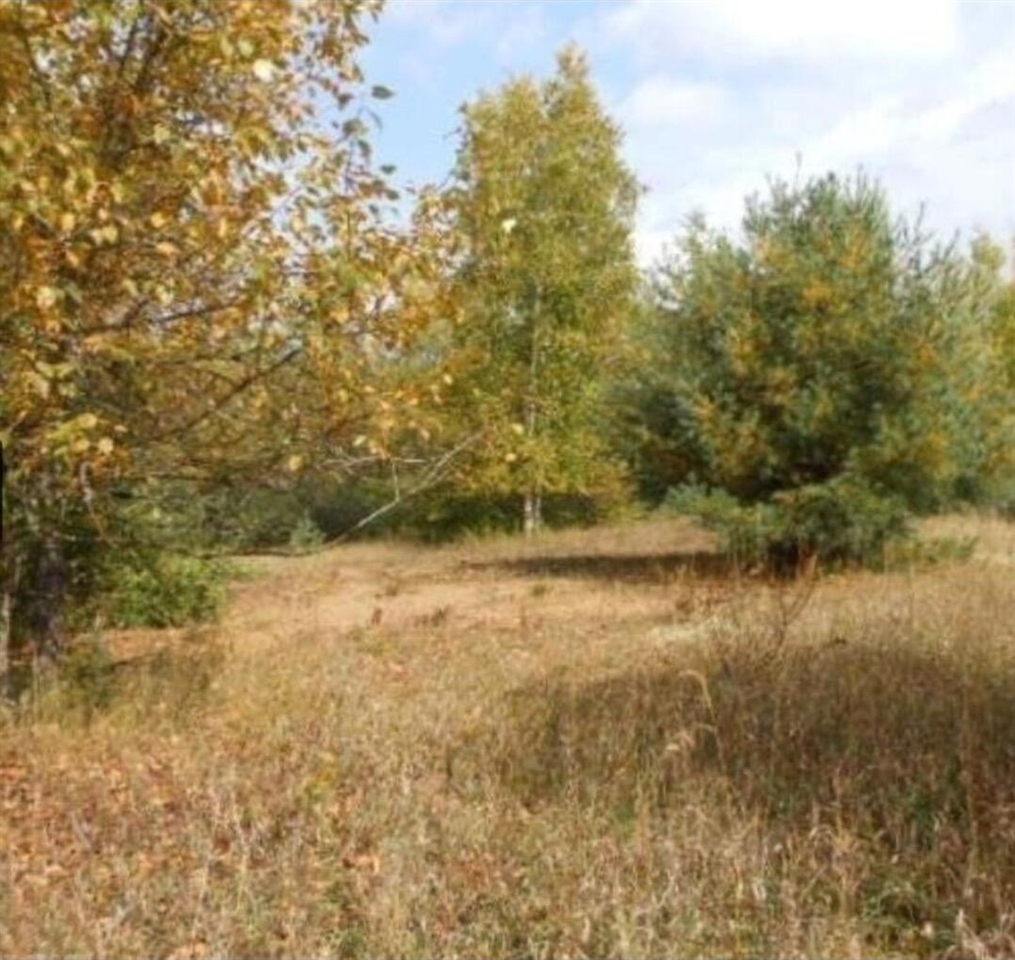 00 Pueblo Trail Property Photo 1