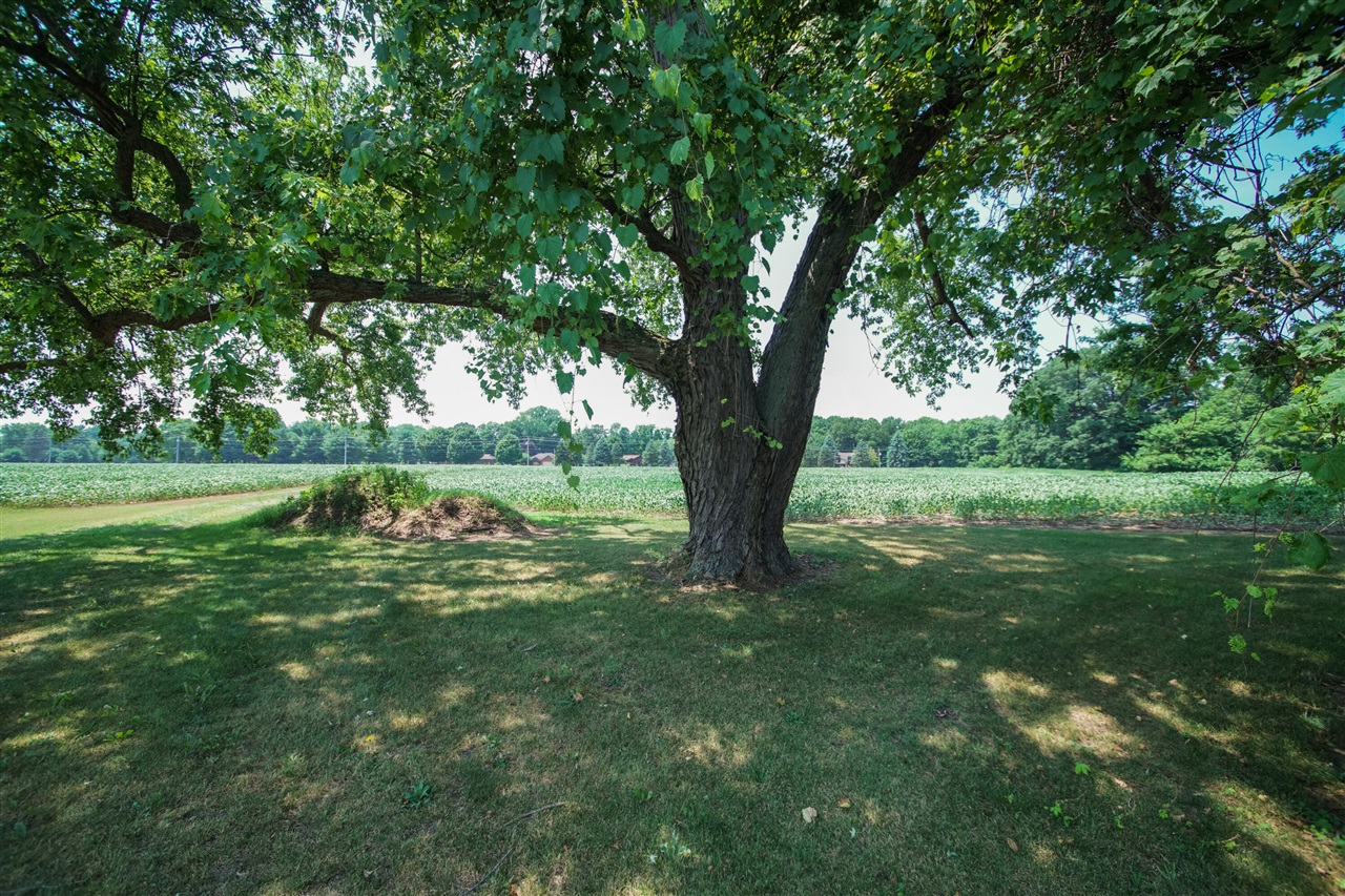 4478 M-139 Property Photo 14