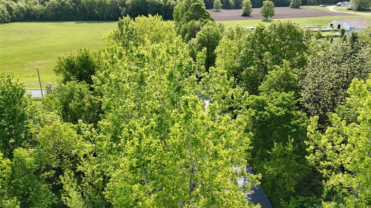 13027 Shaner Avenue Property Photo 2