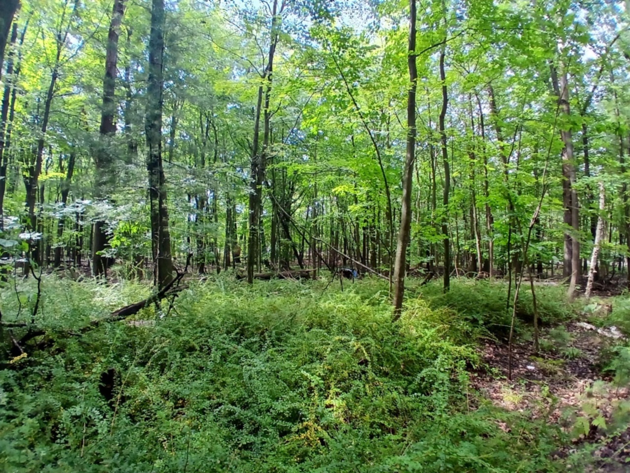 4756 N Ridge Road Property Photo 2