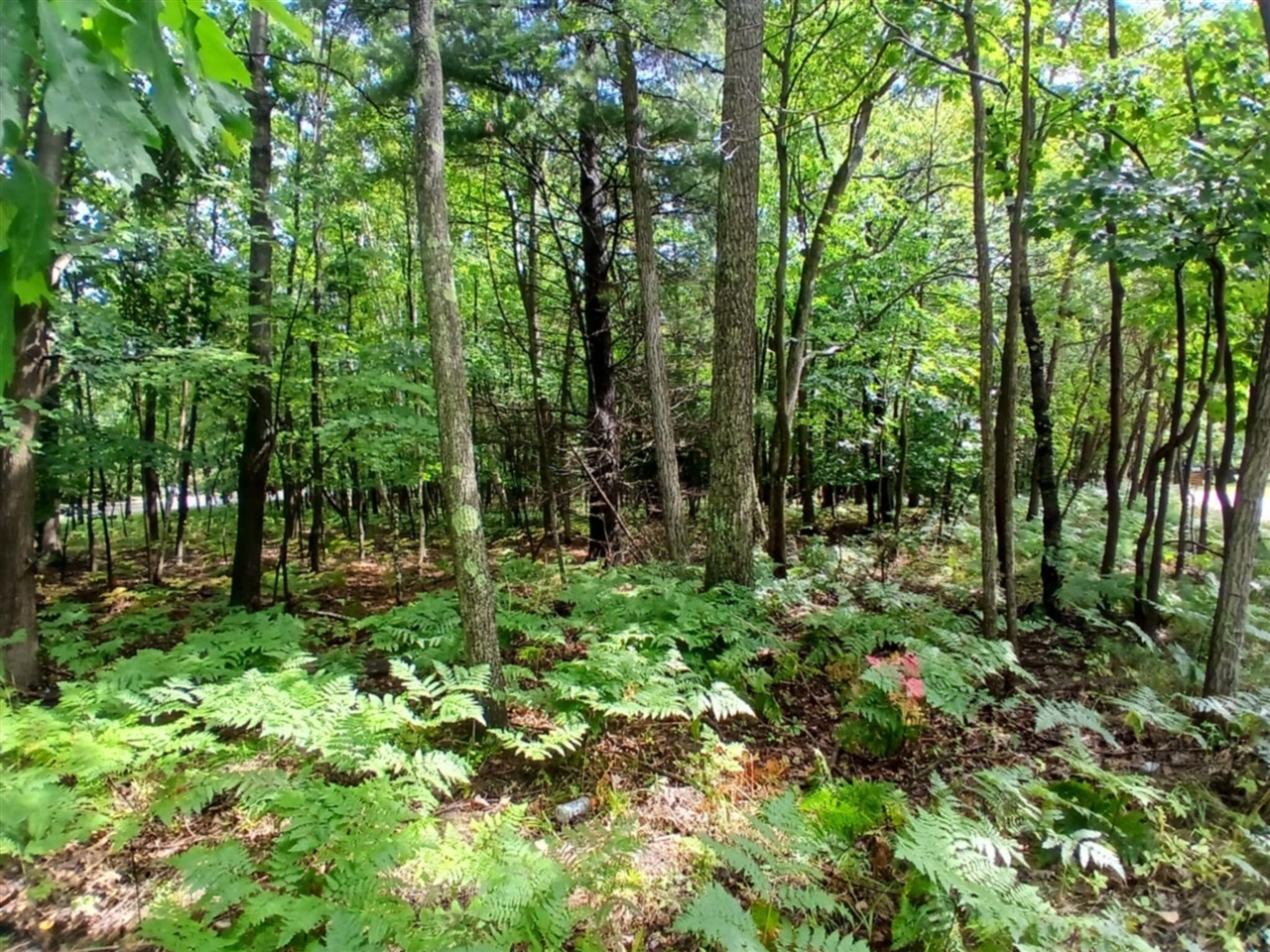4756 N Ridge Road Property Photo 3